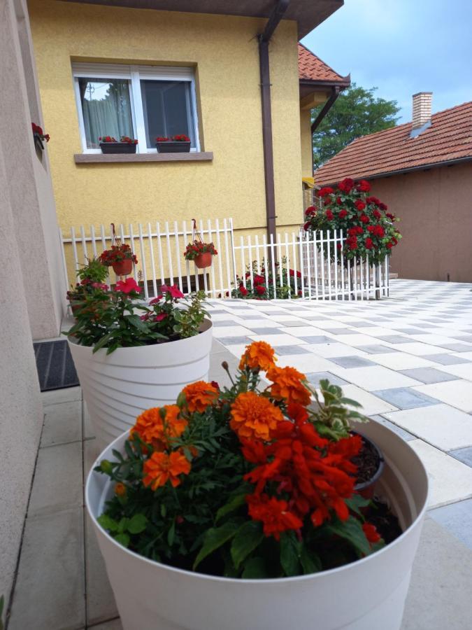 Leda Apartmani Smederevo Exterior photo