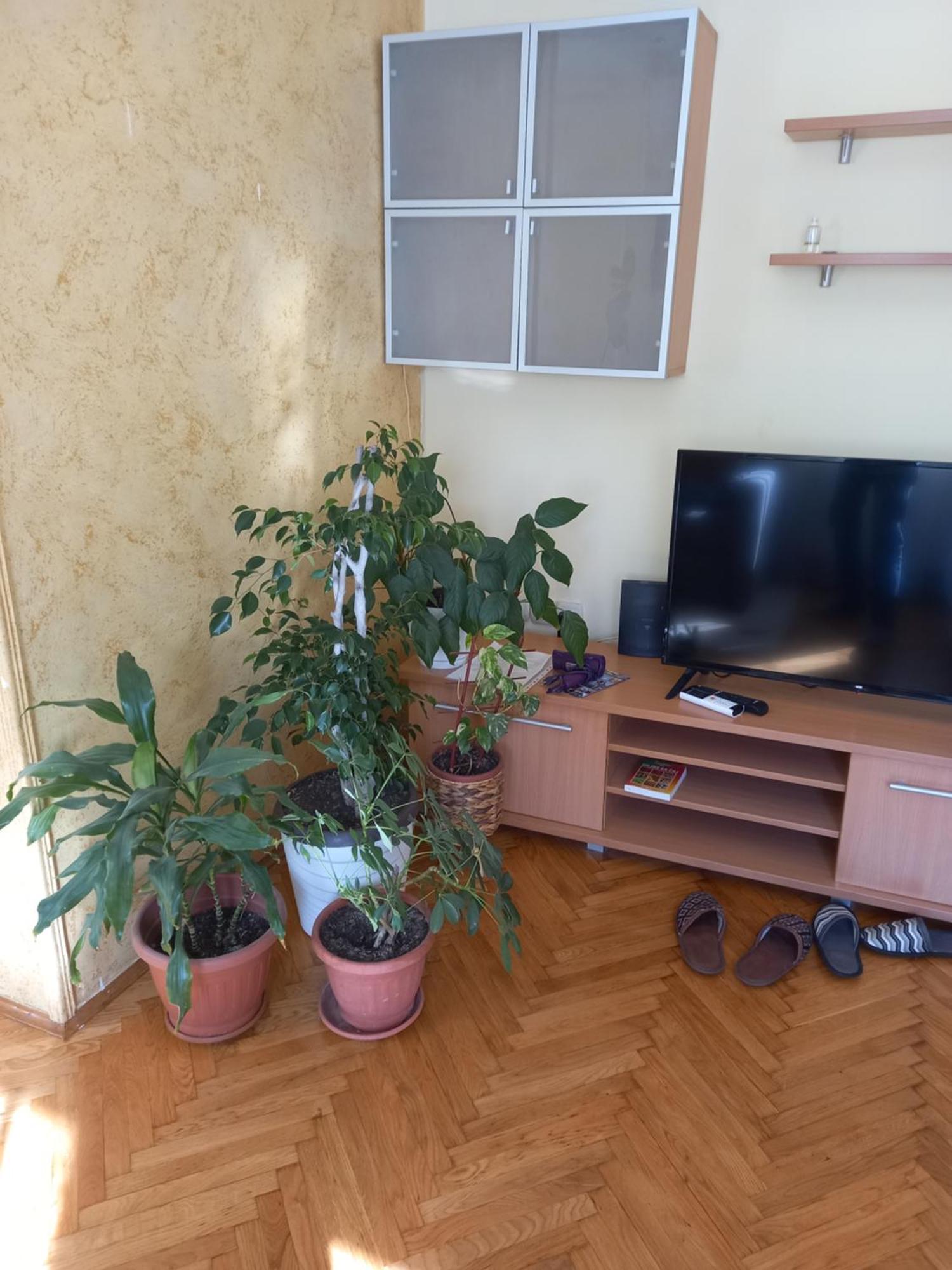 Leda Apartmani Smederevo Exterior photo